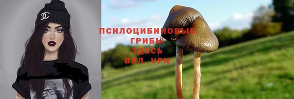 каннабис Алексеевка